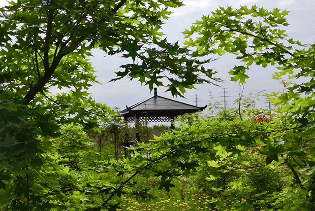 校园风光