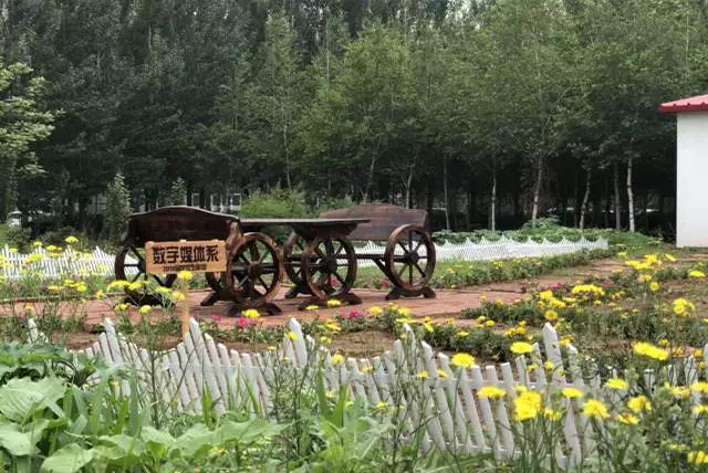 校园风光