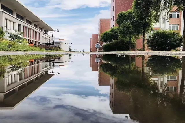 校园风光